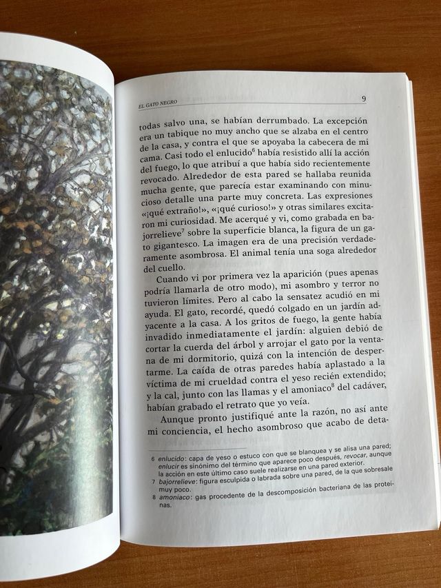 El gato negro y otros cuentos de horror