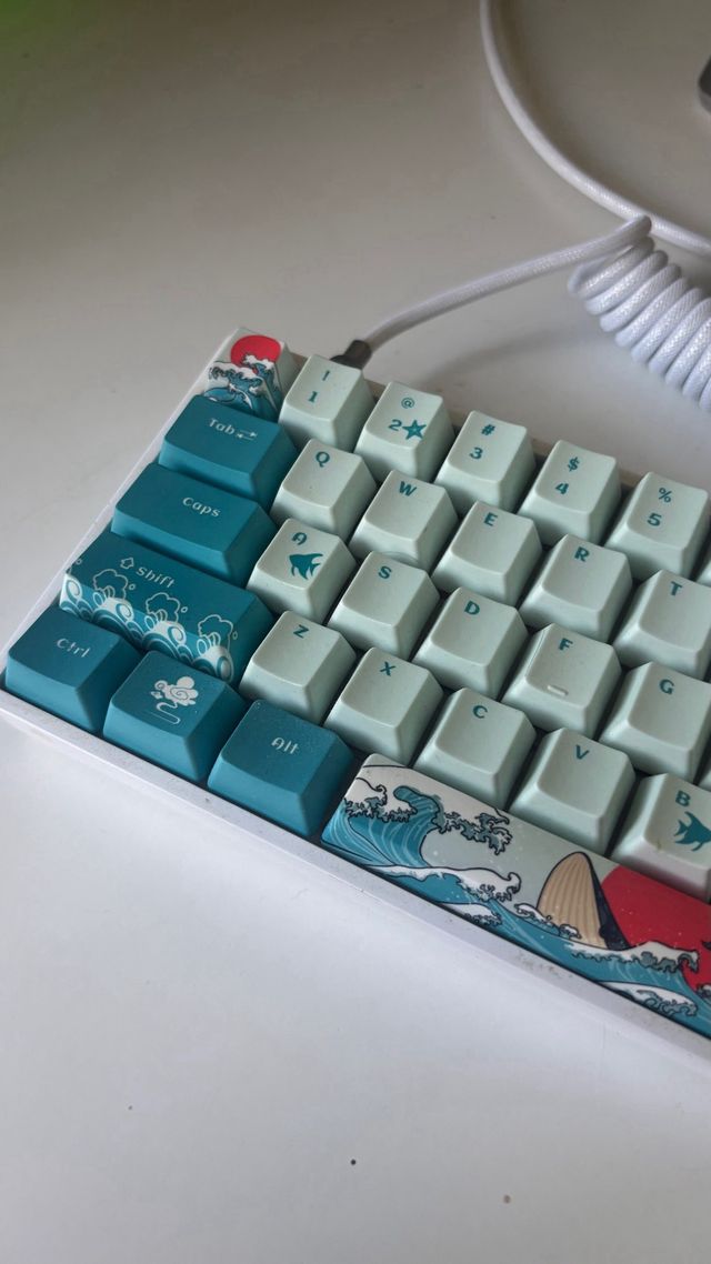 Teclado Mecánico Custom  Cable Custom