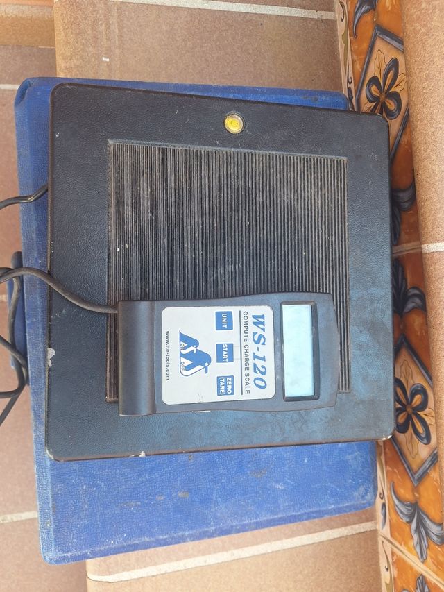 Balanza digital WS-120 - Carga