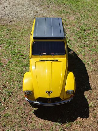 Citroen Dyane 6 1979