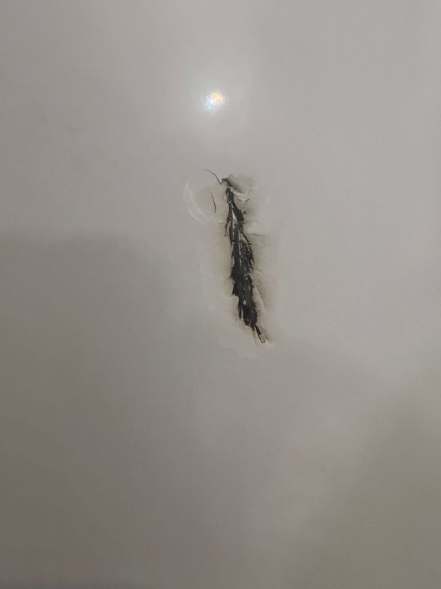 Bañera BETTE Set 170x80 blanca