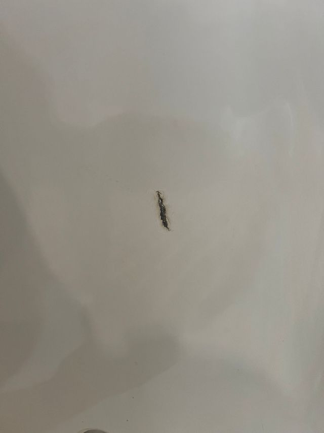 Bañera BETTE Set 170x80 blanca