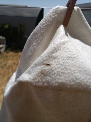 Filtro Scheppach: Profesional