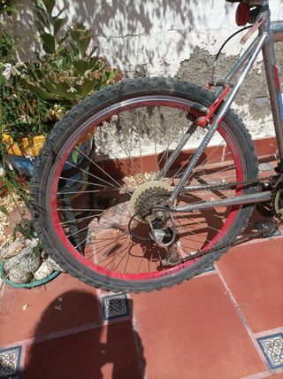 Bicicleta clásica de montaña - Wenti 850 (MTB)