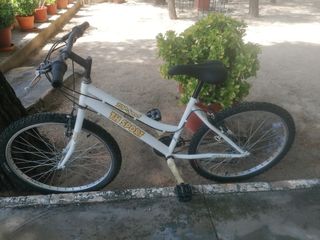 Bicicleta TH Sport niño