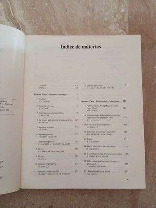 Medicina y terapéutica felinas