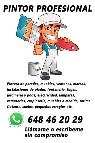 PINTOR PROFESIONAL