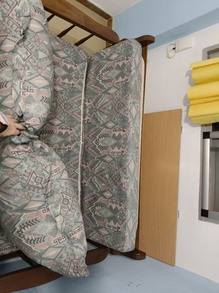 Sofá cama (colchón 120 cm)