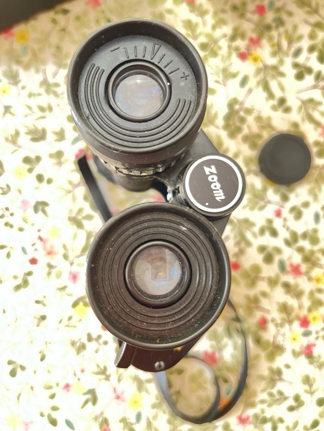 Binoculares Prismaticos Vintage