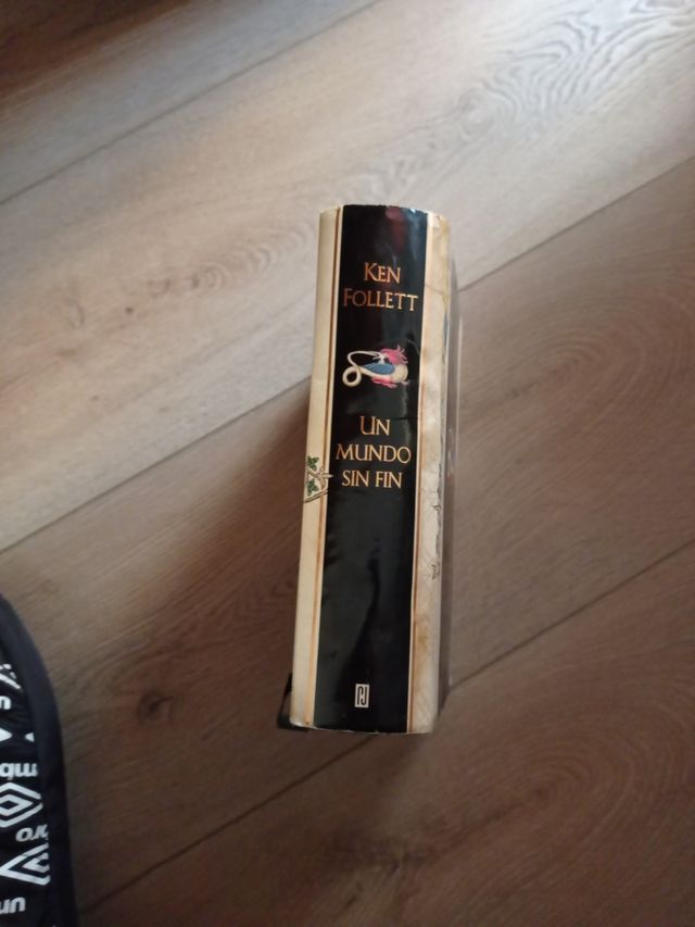 Un mundo sin fin
