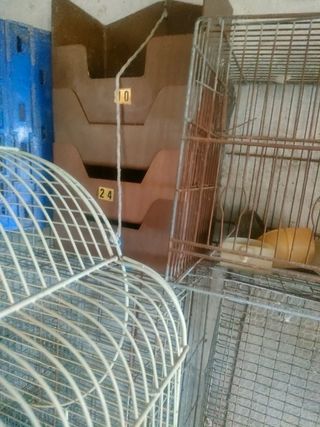 Jaulas pájaros - Madera y metal en perfecto estad