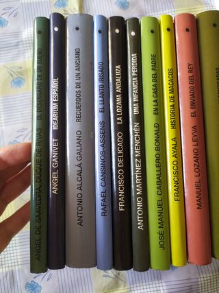 29x Autores andaluces Biblioteca 