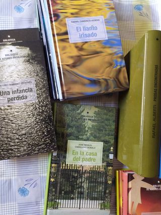 29x Autores andaluces Biblioteca 