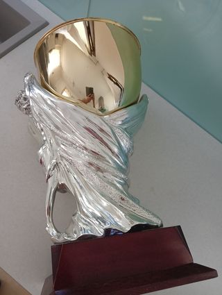 Coppa trofeo argento dorato