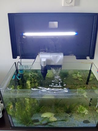 Acuario 80L completo