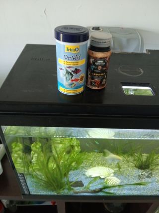 Acuario 80L completo