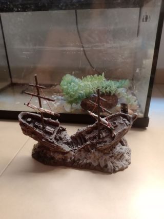 Acuario 59x31x14cm - Decorado