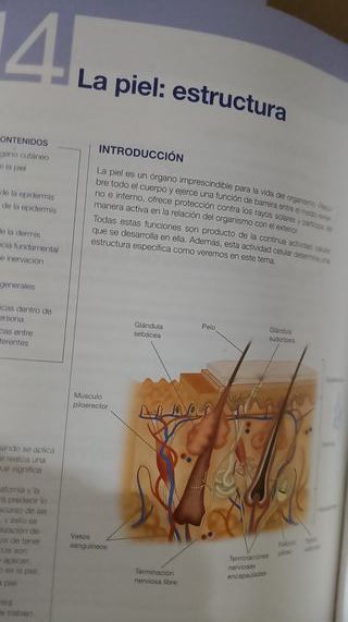 Anatomia y Fisiologia Humanas Basicas