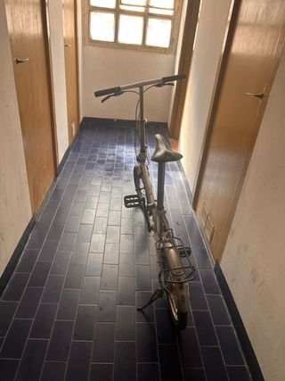 Bicicleta plegable ligera
