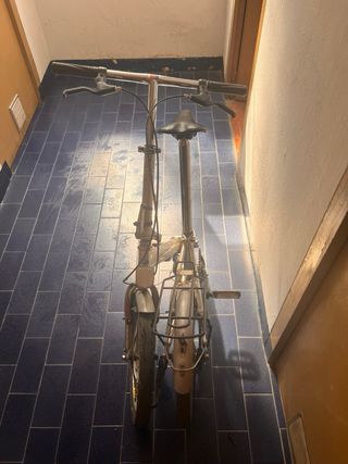 Bicicleta plegable ligera