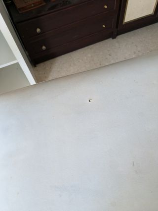 Camilla estetica blanca - piel sintética