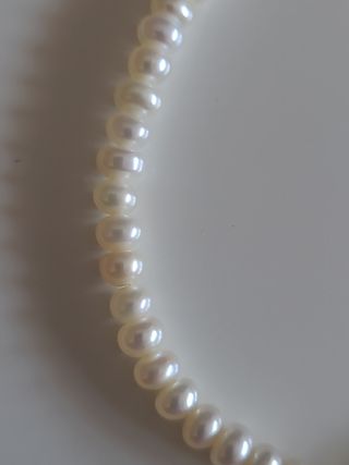 Pulsera tous original perlas-oso oro mediano  1,15