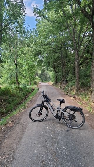 Bicicleta eléctrica Haibike FS10 Talla L