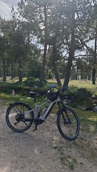 Bicicleta eléctrica Haibike FS10 Talla L