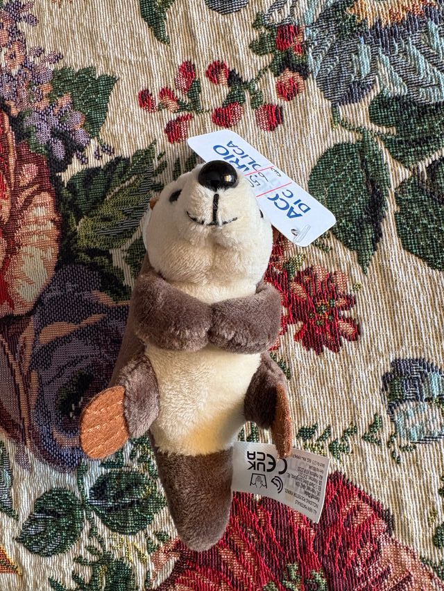 Portachiavi lontra - Cattolica