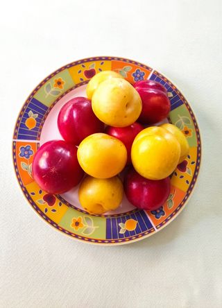 Plato llano vintage multicolor