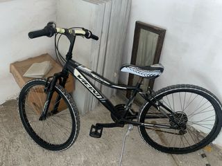 Bicicletta