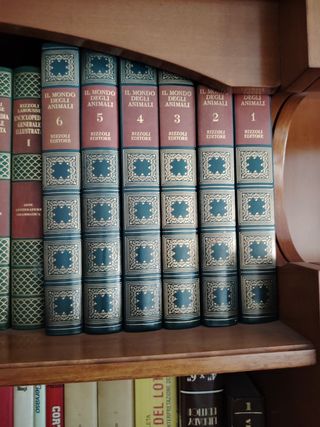 Enciclopedia generale illustrata