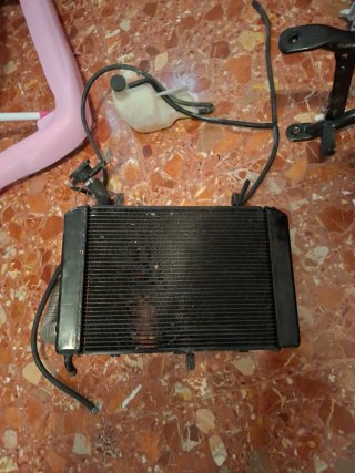 Radiador Suzuki GSR 600
