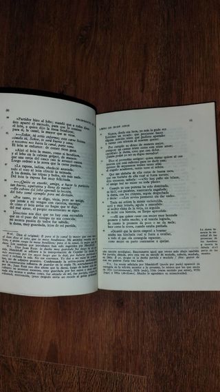Libro De Buen Amor