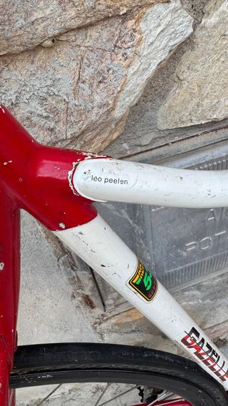 Bicicleta Gazelle Lowpro
