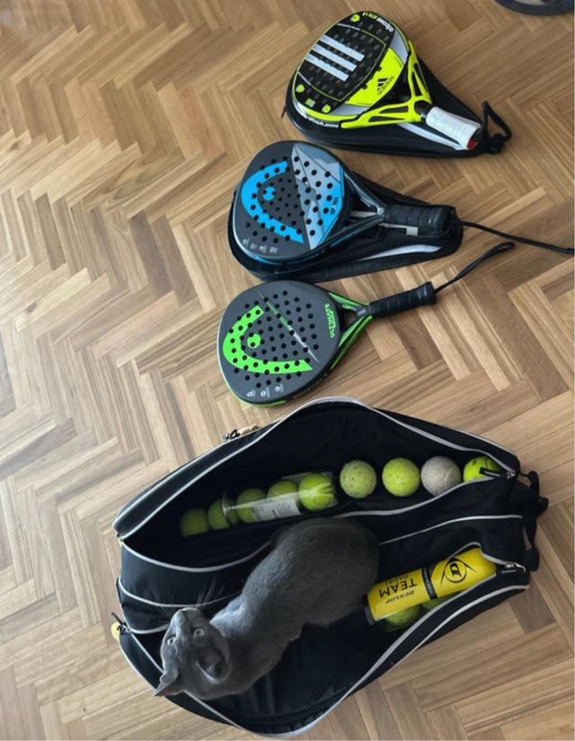 3 Palas pádel: Head Ultimate, Spark, Adidas