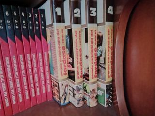 Grande enciclopedia del far da se