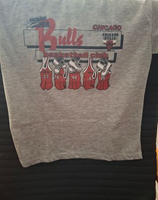 Camiseta Chicago Bulls Phoskito