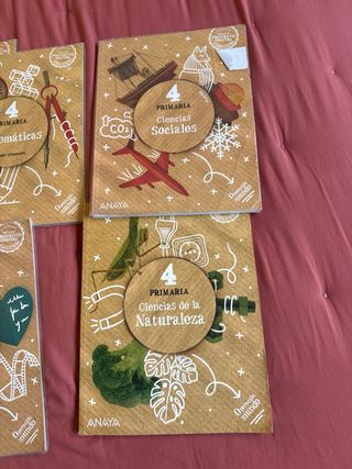 lote de libros 4 de primaria