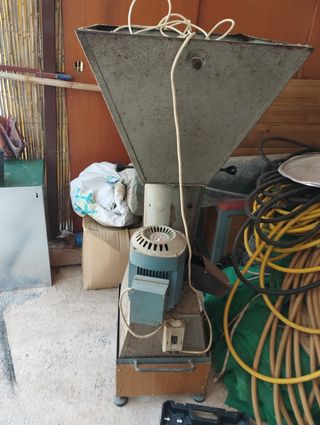 Peladora almendra robusta