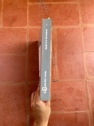 Libro - Retaule de la Vida Medieval