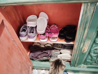 Armario antiguo, zapatero, blanquito y espejo.