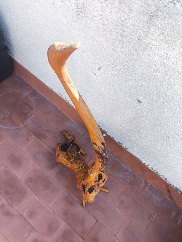 Escultura cisne - raíz tallada