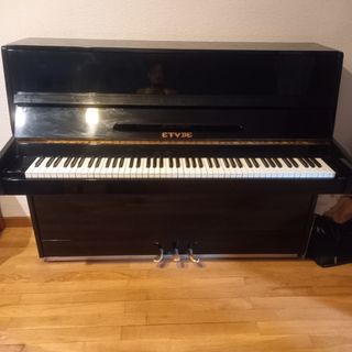 Piano Étude: Práctica musical
