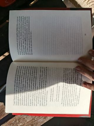 El candidato melancólico