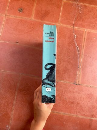 Libro - Felip V i Catalunya