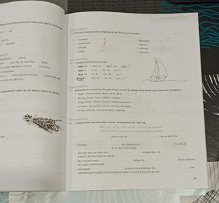 Quadern d'activitats de ll. catalana i literatura