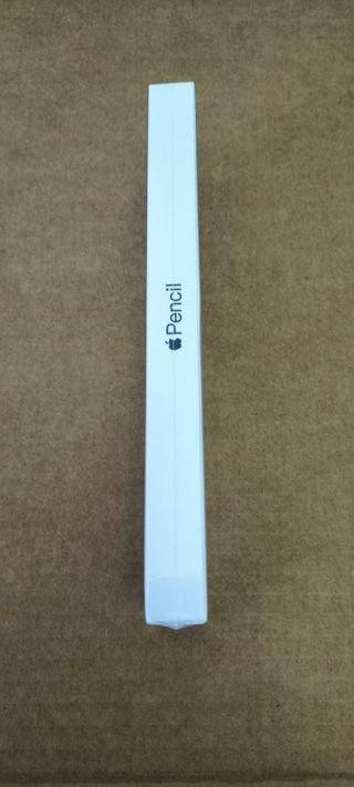 Apple Pencil (USB-C) Nuevo Precintado sellado