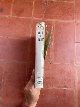 Libro - Felip II i Catalunya