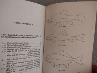 Guía de los peces continentales de la Penínsu...